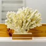 Sanhaus - Haffnera 51 - Stylowe 3 Minuty Od Plazy I Kortow アパート